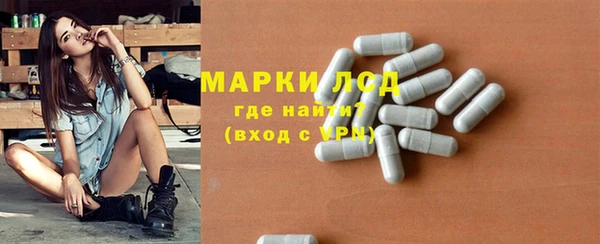 индика Санкт-Петербург