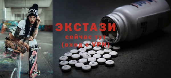 индика Санкт-Петербург