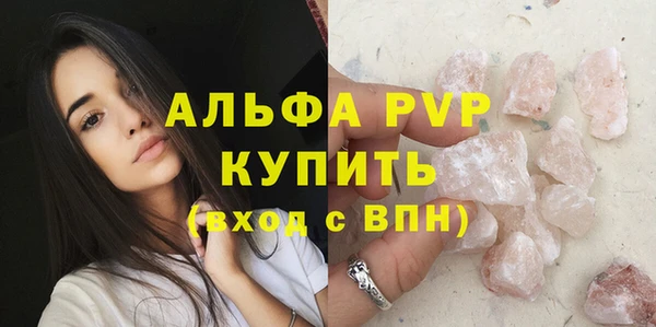 индика Санкт-Петербург