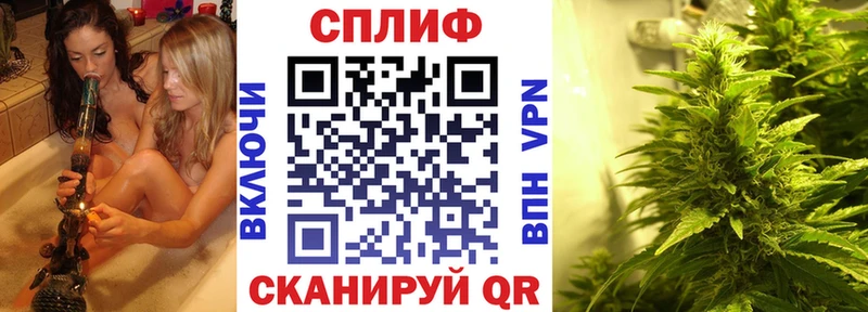 маркетплейс состав  ссылка на мегу вход  Ленинск-Кузнецкий  Конопля тримм 
